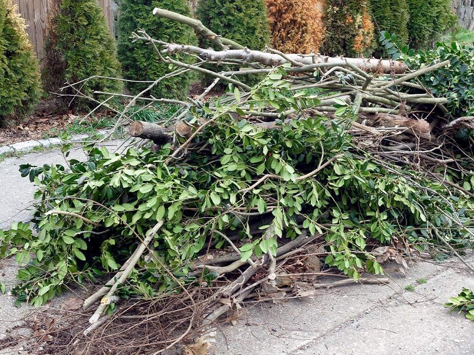 Yard Debris removal company in Hickory